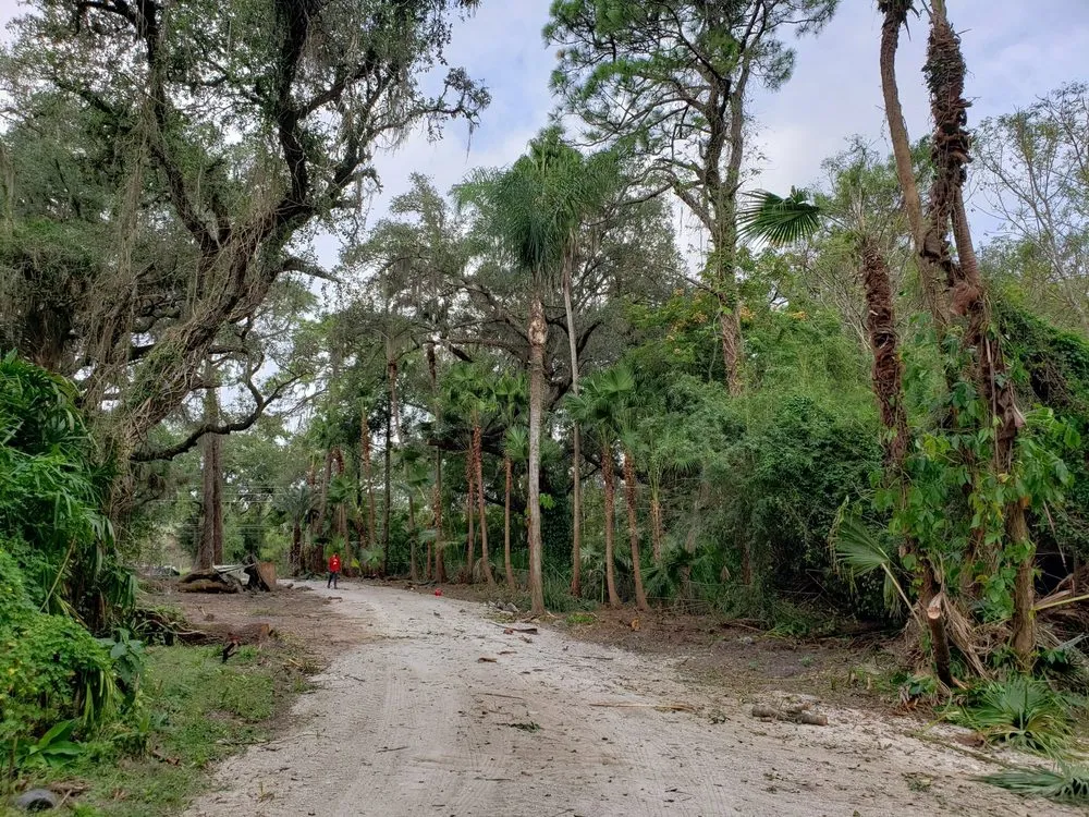 Custom outdoor landscaping in Kissimmee, FL by Robert & Canito's Landscaping