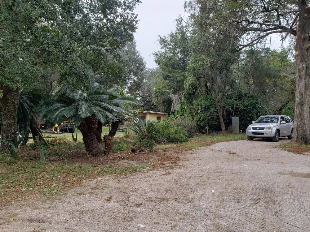 Top-rated lawn mowing service for year-round maintenance in Kissimmee, FL by Robert & Canito's Landscaping