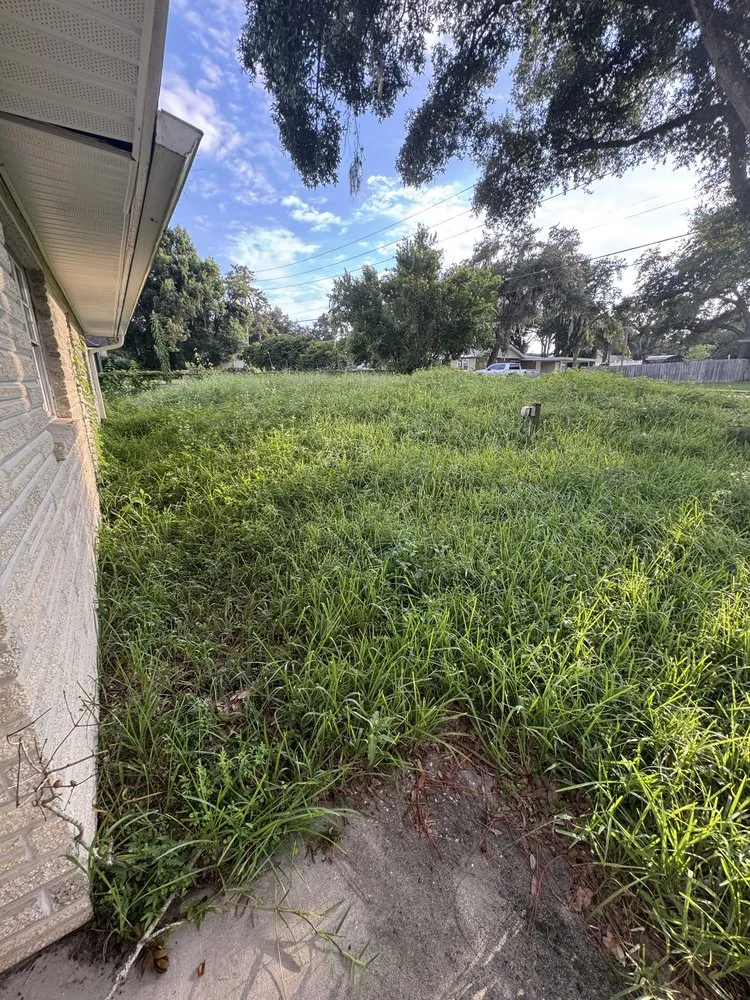 Custom outdoor landscaping near you in Apopka, FL by Robert and Brothers Mowing Services