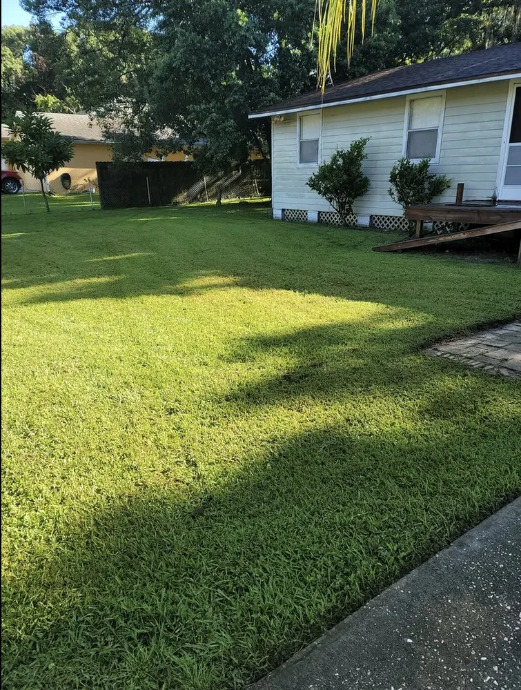 Affordable landscape design in Ocoee, FL by Robert and Son Landscaping