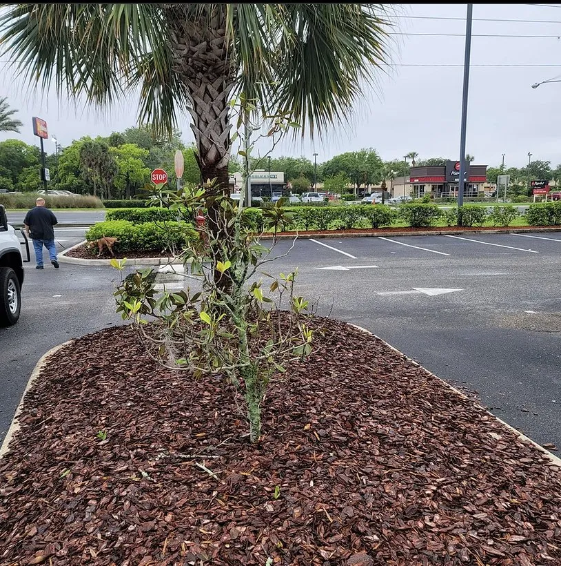 Top-rated lawn care service with custom design across Ocoee, FL - Robert and Son Landscaping