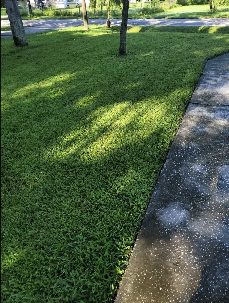 Local yard maintenance experts serving Ocoee, FL - Robert and Son Landscaping