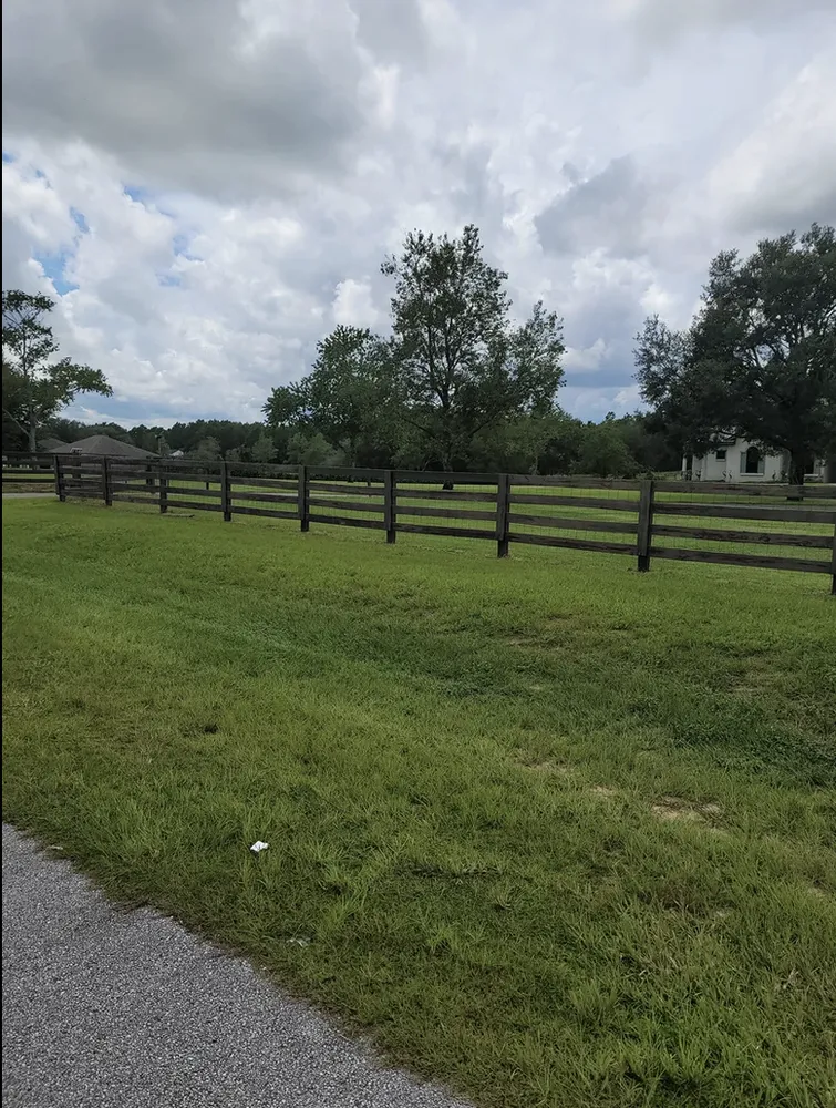 Professional landscape installation in Ocoee, FL by Robert and Son Landscaping