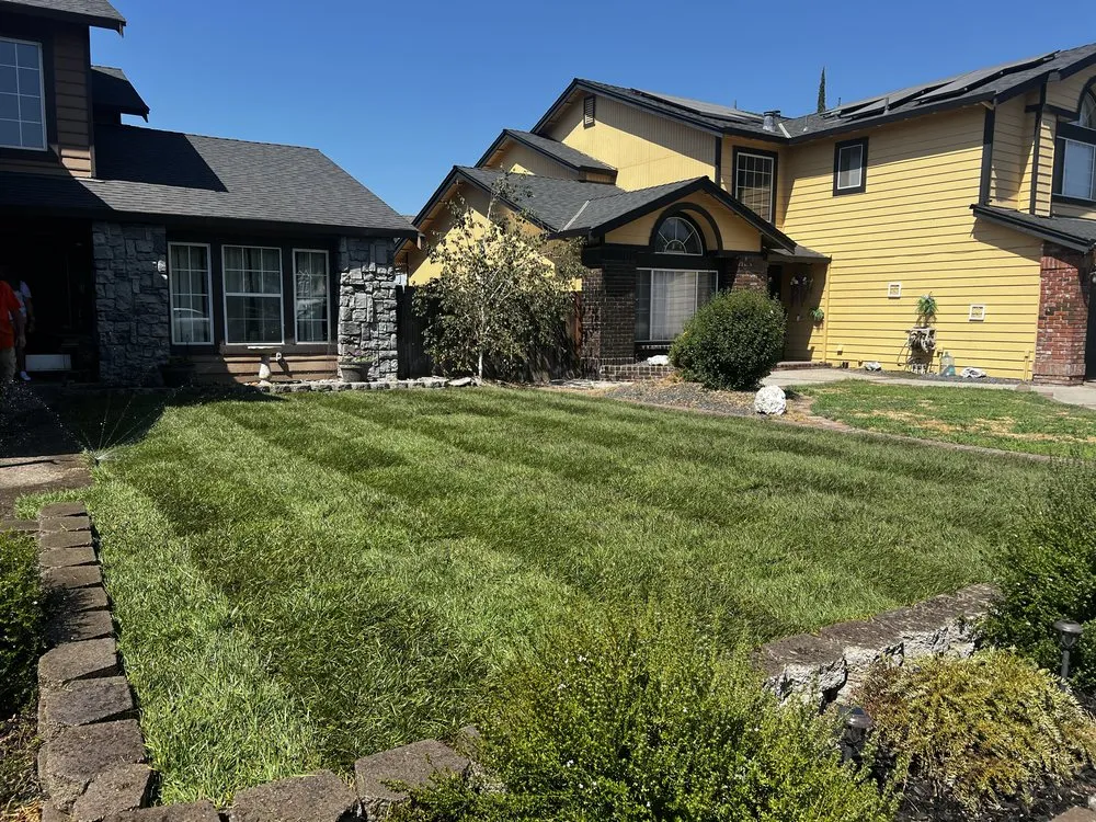 Trusted garden landscaping for year-round maintenance across Vacaville, CA - Robert And Sons