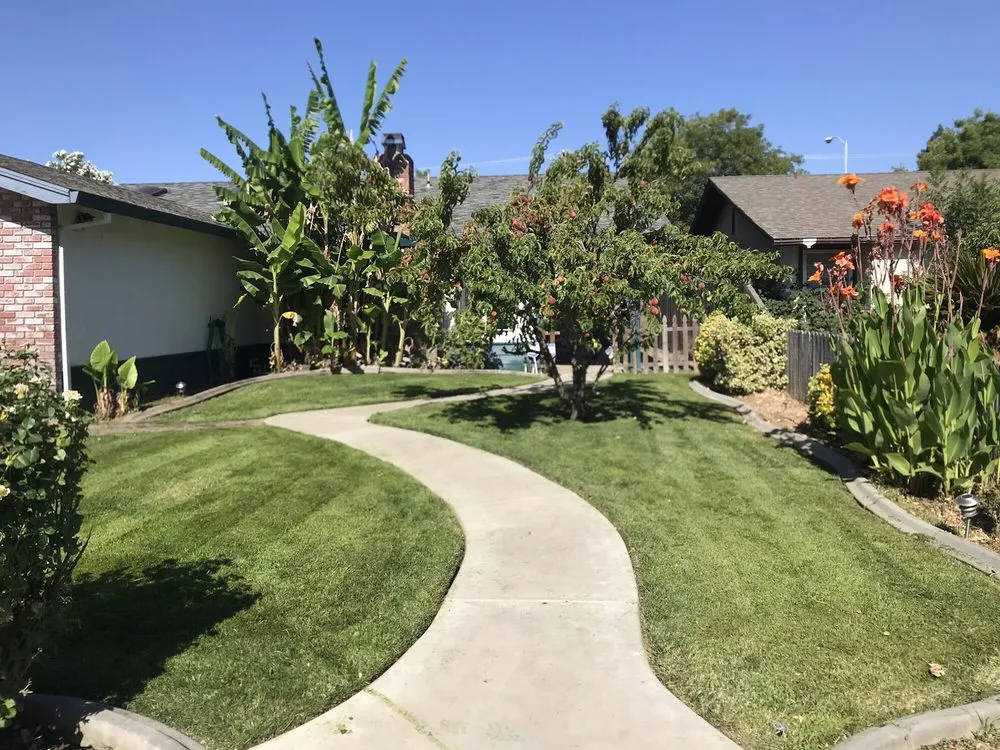 Local outdoor landscaping in Vacaville, CA - Robert And Sons