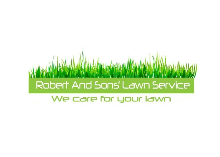 Professional landscaping services for residential properties across Vacaville, CA - Robert And Sons
