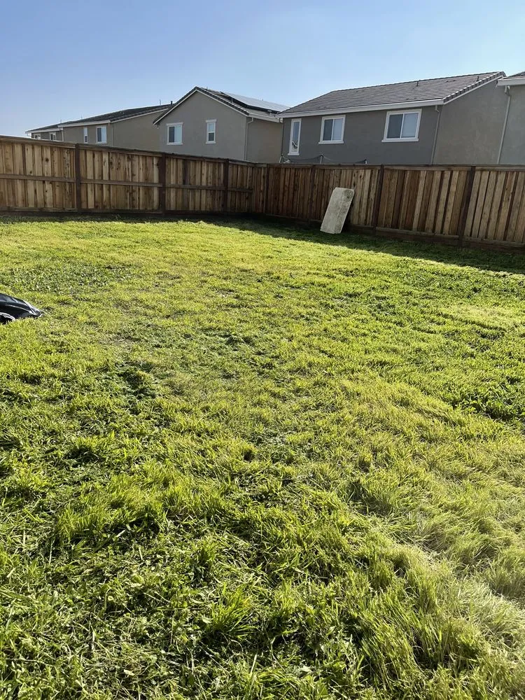 Professional lawn mowing service experts serving Vacaville, CA - Robert And Sons