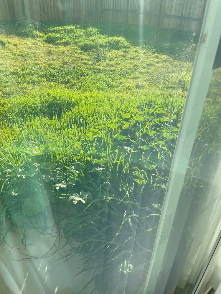 Affordable outdoor landscaping in Vacaville, CA - Robert And Sons