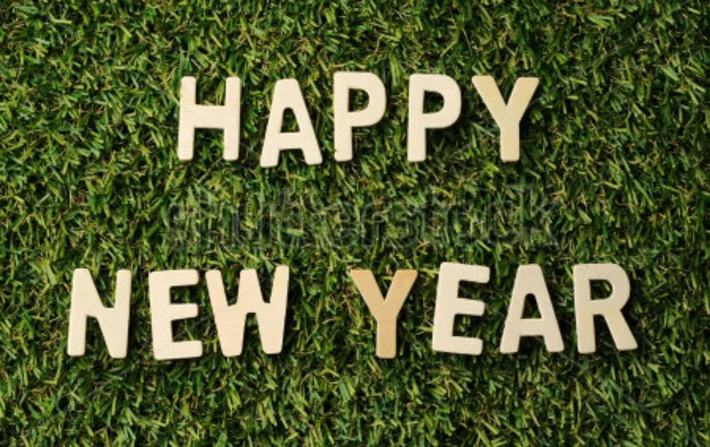 Reliable yard cleanup service in Vacaville, CA - Robert And Sons