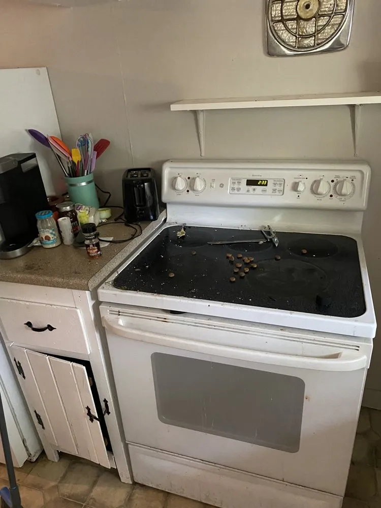 Affordable garden landscaping in Keene, NH by Robert Blodgett Jr Property Maintenance