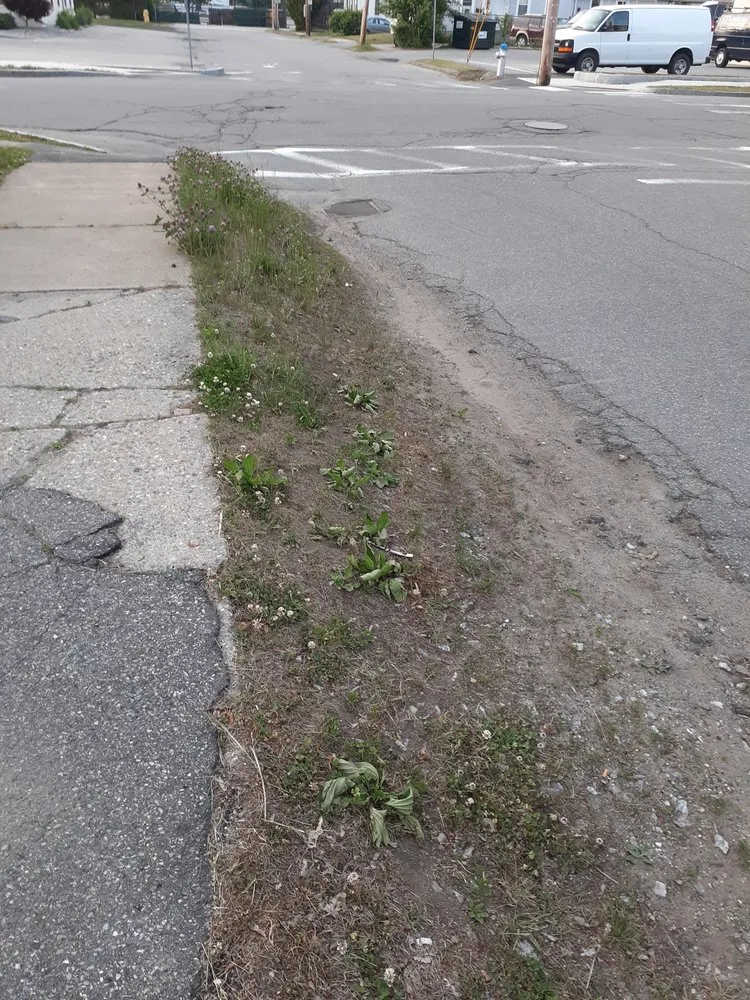 Top-rated lawn mowing service in Keene, NH by Robert Blodgett Jr Property Maintenance