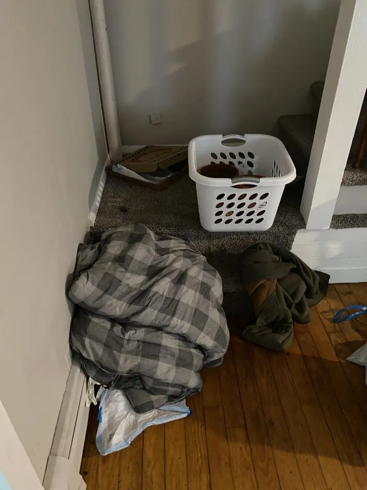 Custom yard cleanup service in Keene, NH by Robert Blodgett Jr Property Maintenance