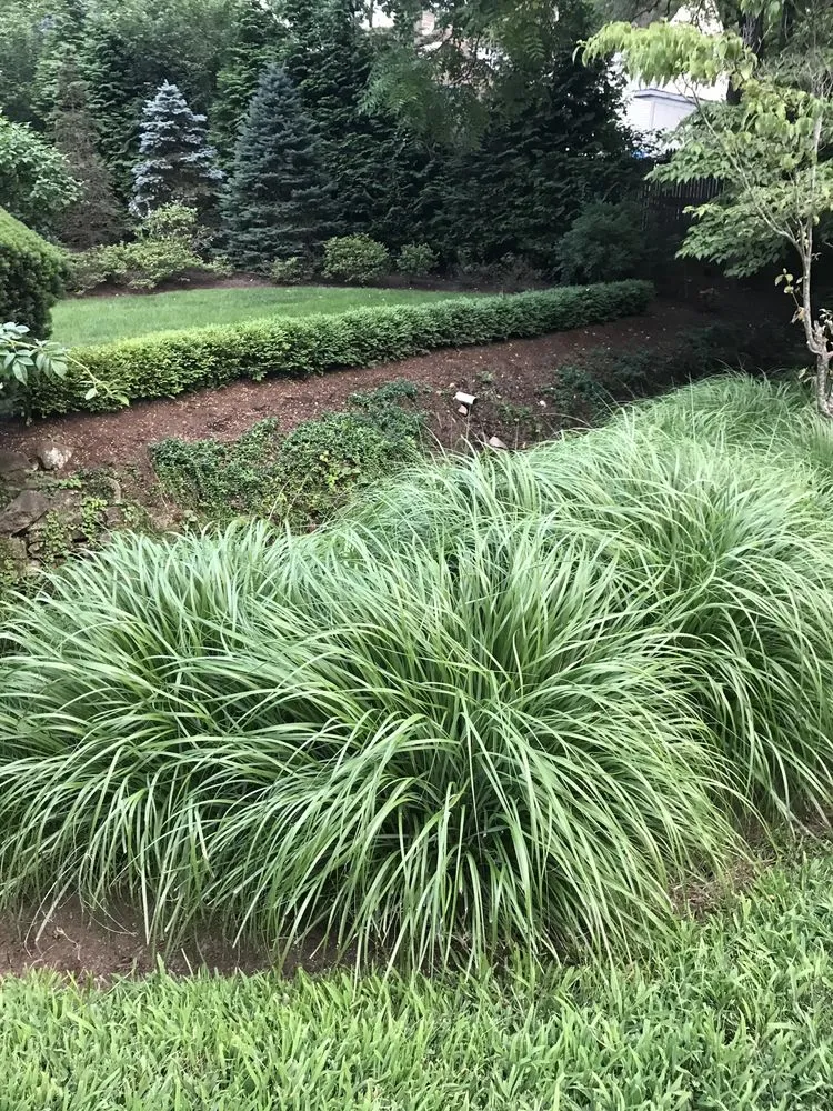 Top-rated garden landscaping experts serving Closter, NJ - Robert Bradley Landscaping