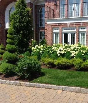 Expert yard cleanup service in Closter, NJ by Robert Bradley Landscaping