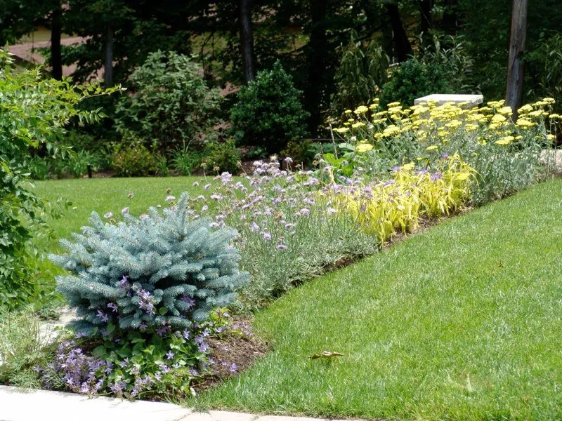 Affordable lawn mowing service in Closter, NJ by Robert Bradley Landscaping