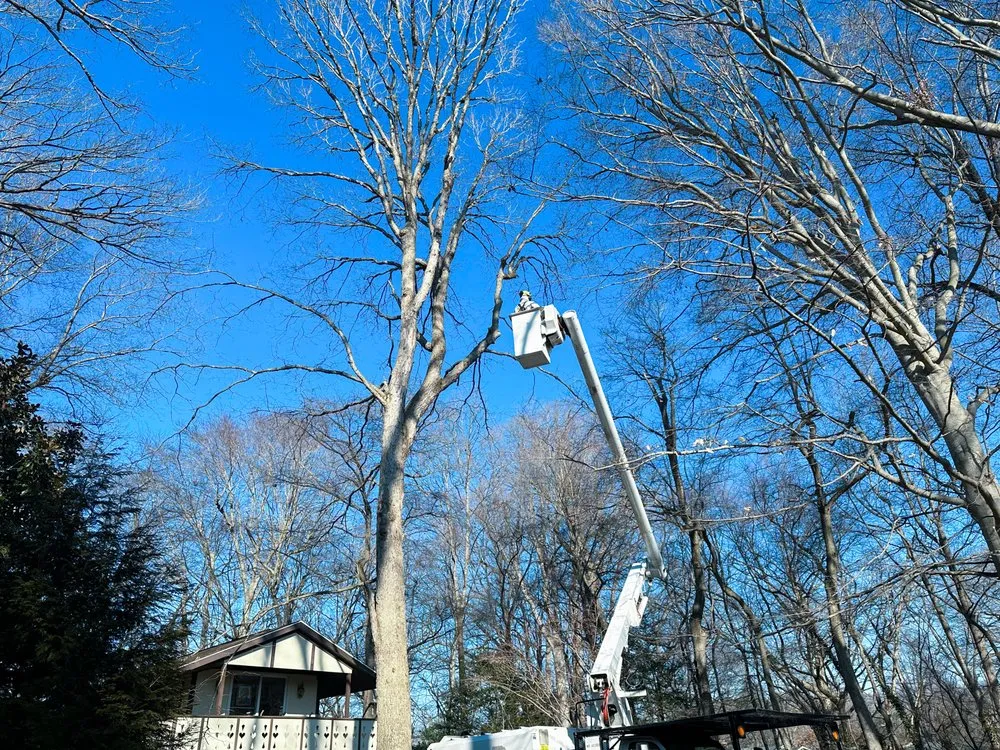 Custom residential landscaping in Milford, DE - Robert Burk Tree & Landscaping