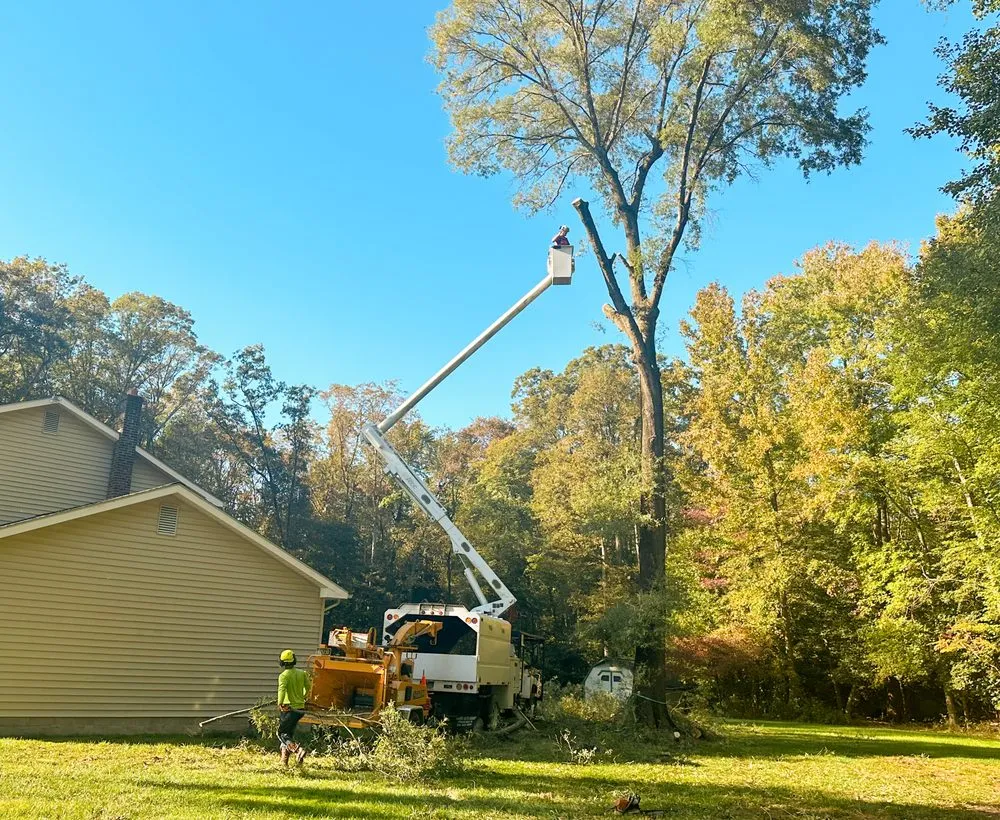 Custom yard maintenance in Milford, DE by Robert Burk Tree & Landscaping
