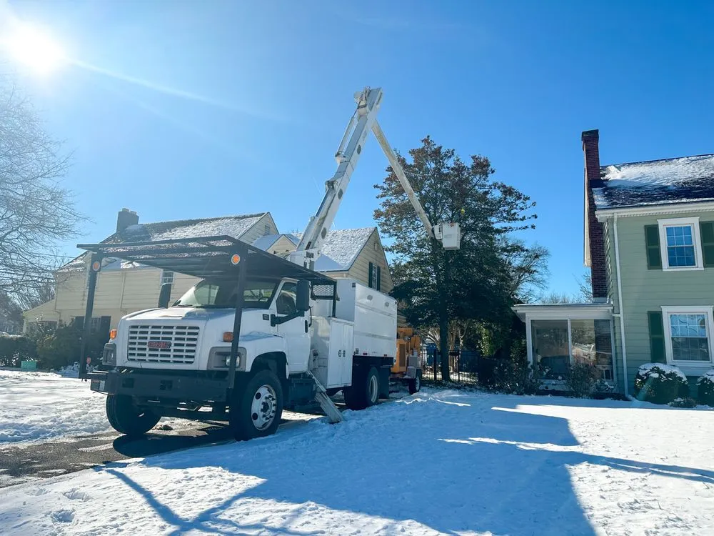 Top-rated yard cleanup service for homes across Milford, DE - Robert Burk Tree & Landscaping