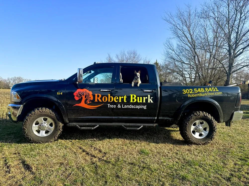 Reliable lawn care service in Milford, DE by Robert Burk Tree & Landscaping