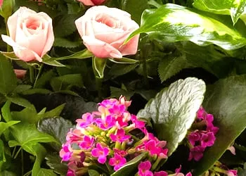 Reliable lawn care service for homes across Lake Zurich, IL - Robert C. Boyce, RLA