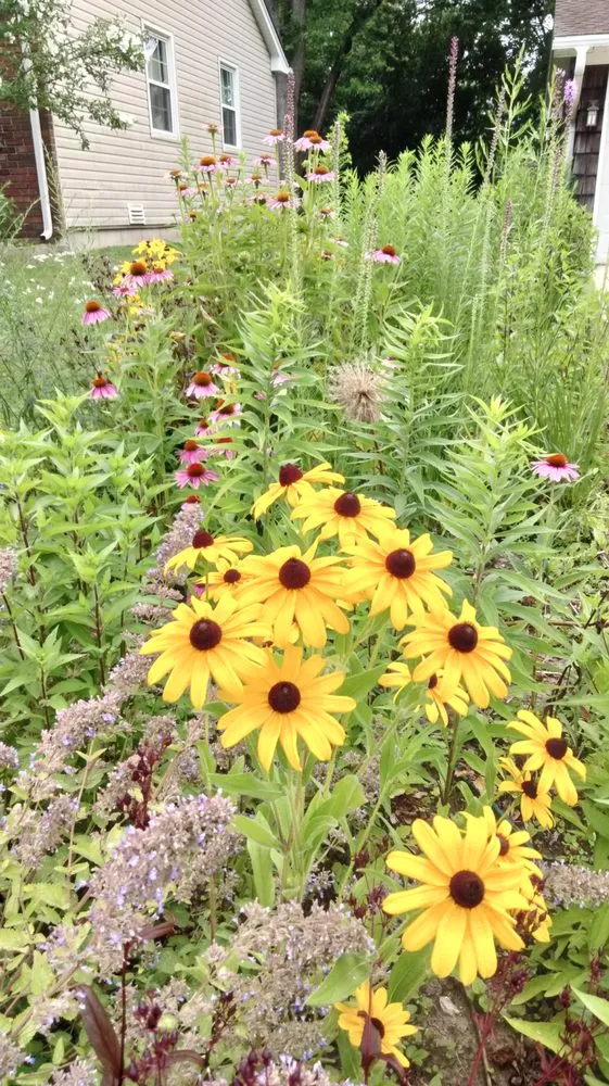 Affordable landscape design experts serving Lake Zurich, IL - Robert C. Boyce, RLA