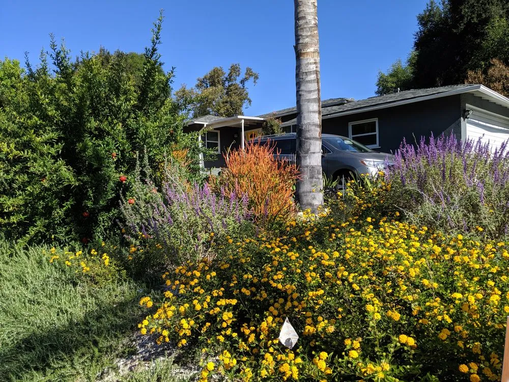 Professional outdoor landscaping for beautiful yards across Pasadena, CA - Robert Cornell & Associates