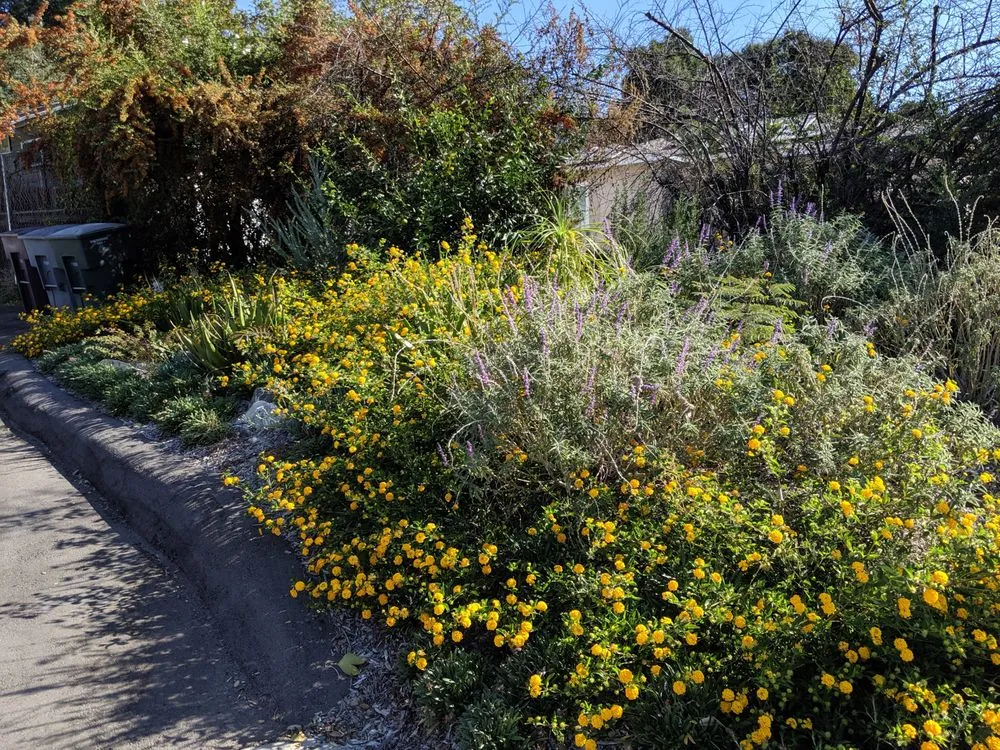 Local lawn mowing service in Pasadena, CA by Robert Cornell & Associates