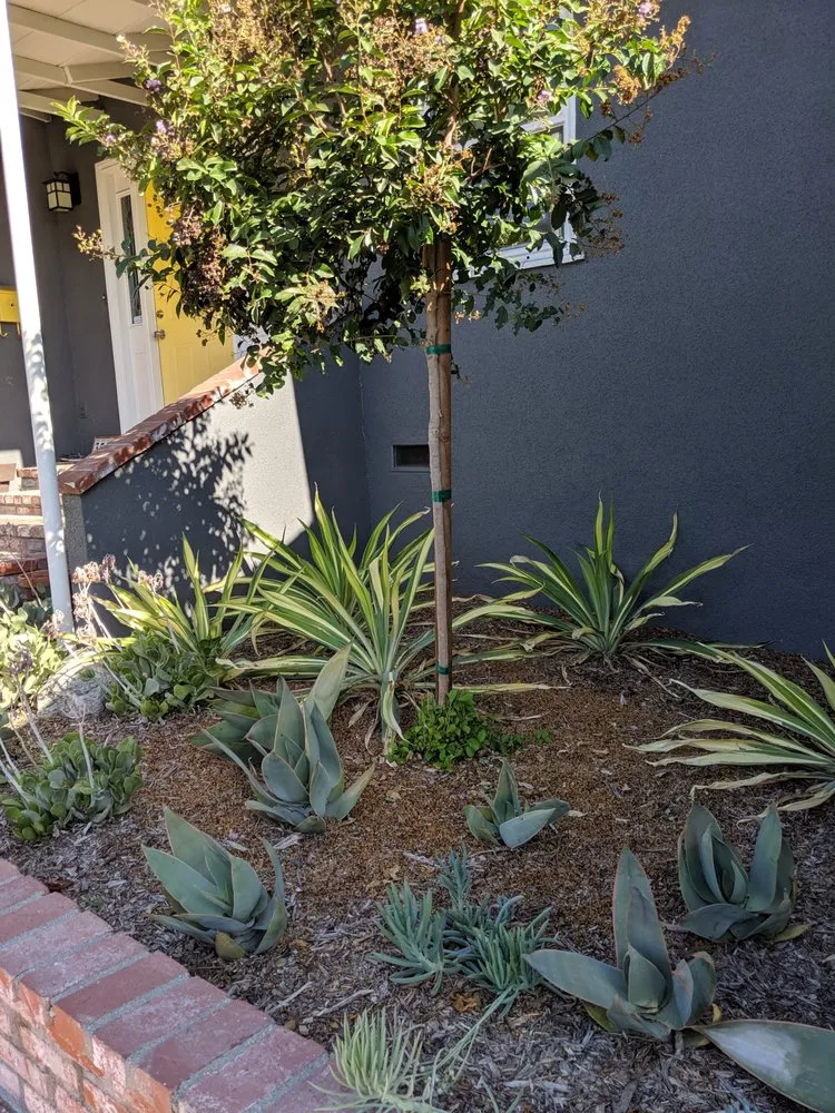 Professional landscaping services experts serving Pasadena, CA - Robert Cornell & Associates