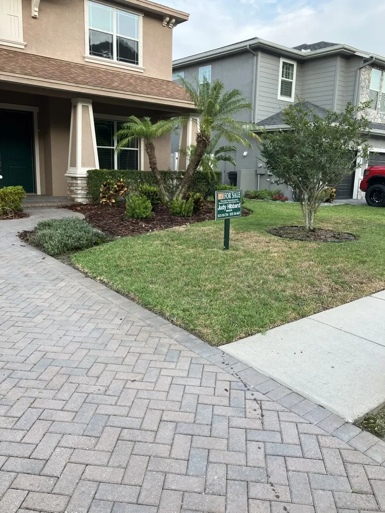 Expert yard maintenance in Safety Harbor, FL - Robert E Phillips