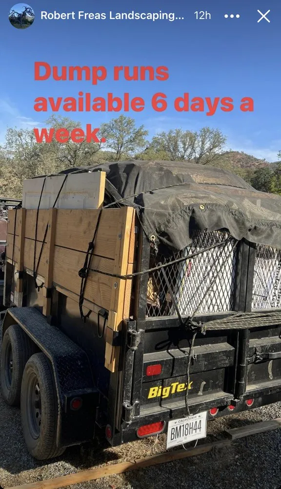 Expert yard cleanup service in Three Rivers, CA by Robert Freas Tree Service