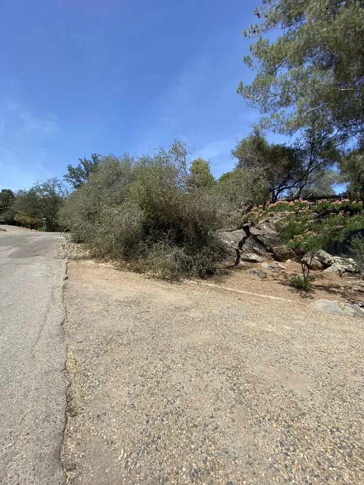 Local yard maintenance in Three Rivers, CA by Robert Freas Tree Service