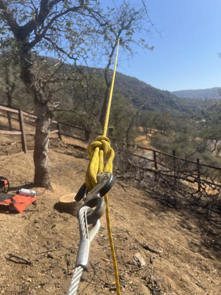 Expert lawn care service in Three Rivers, CA by Robert Freas Tree Service