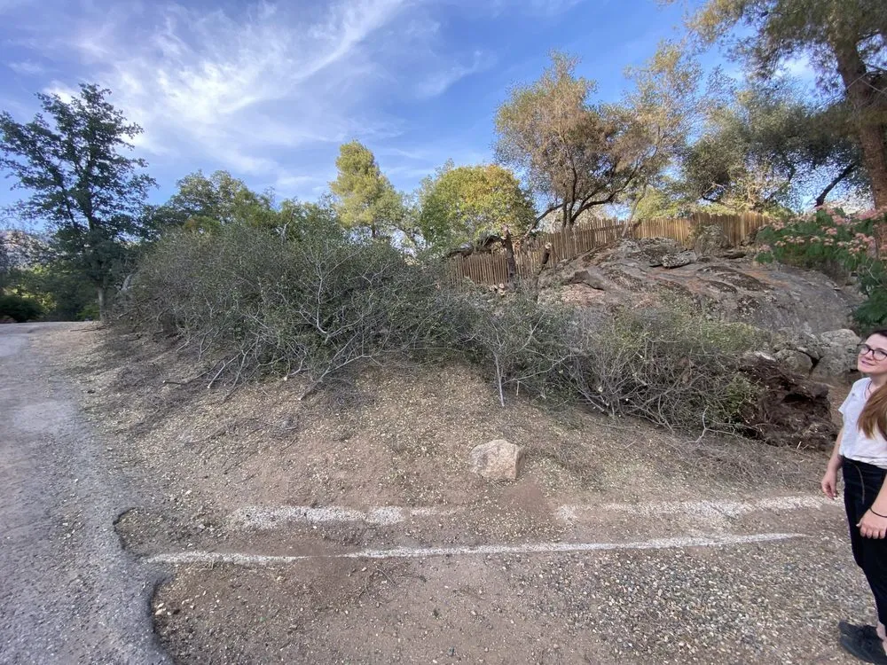 Professional yard cleanup service near you in Three Rivers, CA by Robert Freas Tree Service