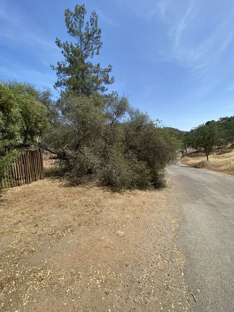 Custom residential landscaping experts serving Three Rivers, CA - Robert Freas Tree Service