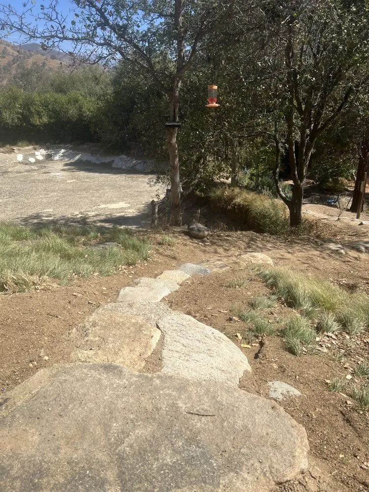 Affordable landscape installation in Three Rivers, CA - Robert Freas Tree Service