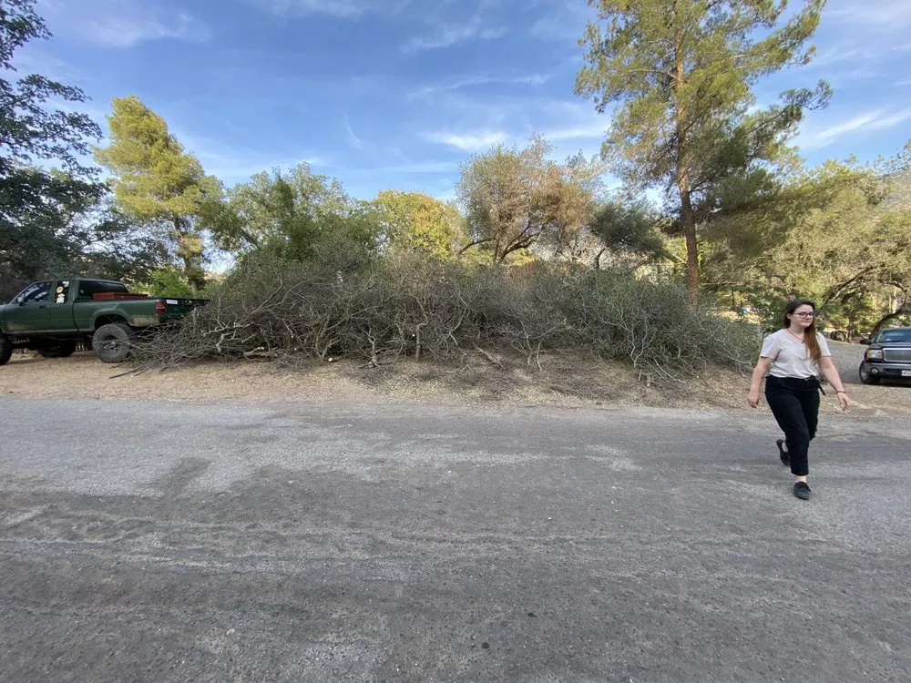 Expert landscape design for outdoor upgrades across Three Rivers, CA - Robert Freas Tree Service