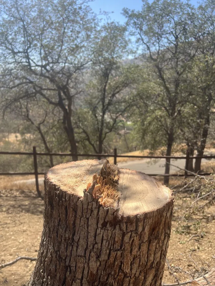 Expert garden landscaping in Three Rivers, CA - Robert Freas Tree Service