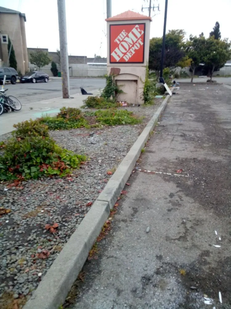 Professional yard cleanup service experts serving HILLTOP MALL, CA - Robert Laster Landscape Mowing and Yard Grooming