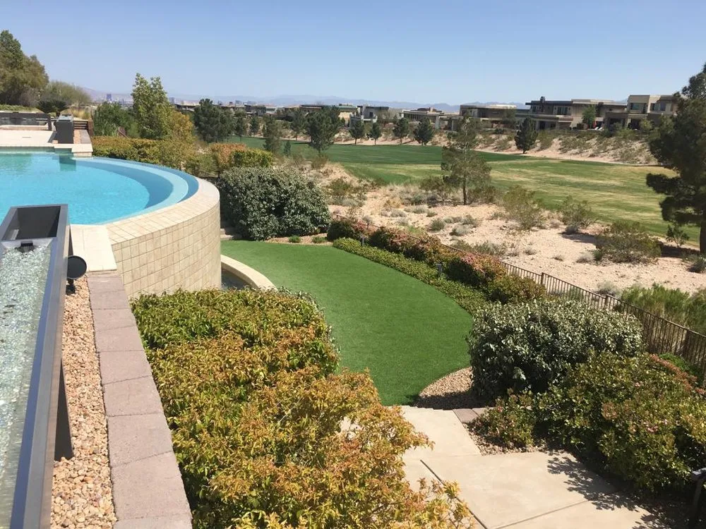 Trusted yard cleanup service near you in Las Vegas, NV by Robert Lawn Service