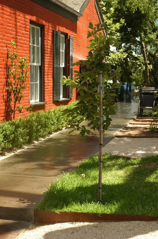 Trusted lawn mowing service near you in Austin, TX by Robert Leeper Landscapes