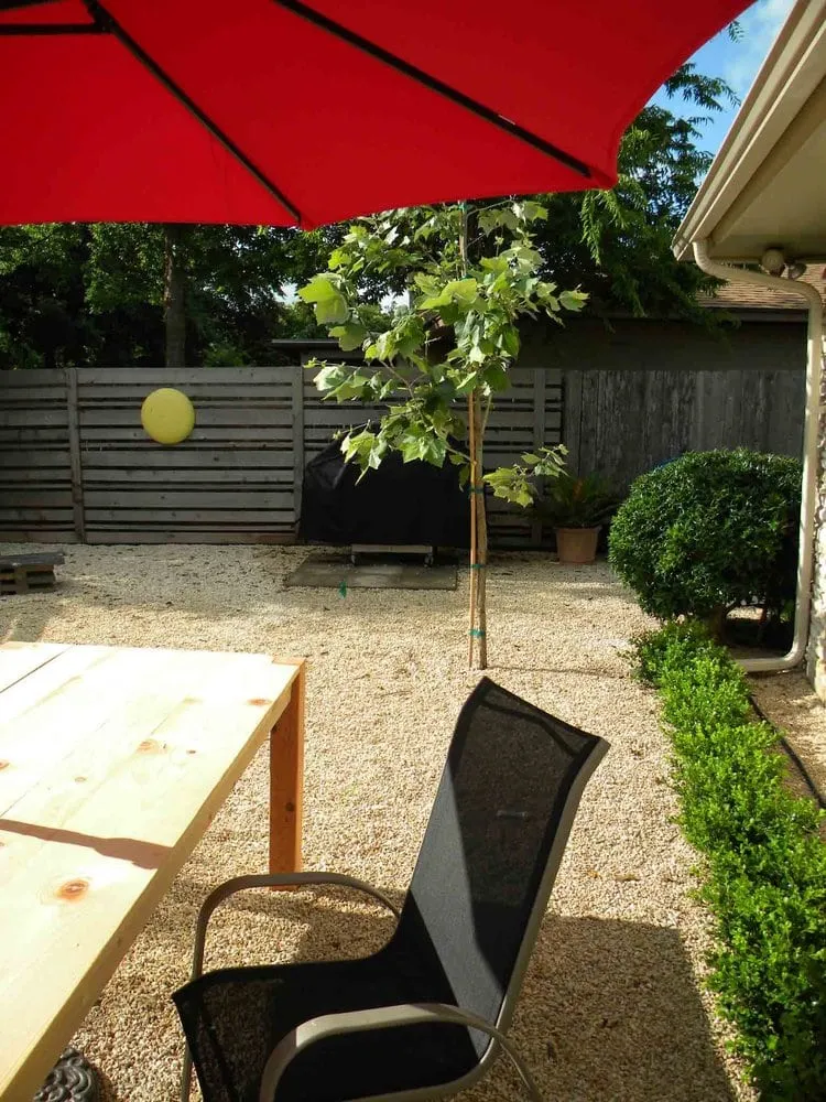 Local yard maintenance in Austin, TX - Robert Leeper Landscapes