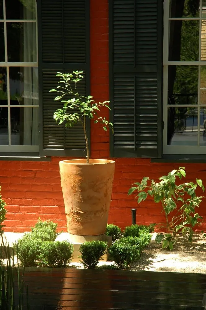 Expert landscaping services experts serving Austin, TX - Robert Leeper Landscapes