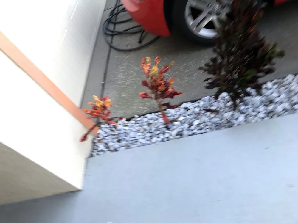 Professional lawn mowing service for year-round maintenance across Cypress Gardens, FL - Robert Miller Painting and Landscape Services