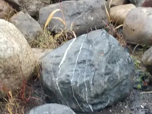 Robert Novak Trucking Logo