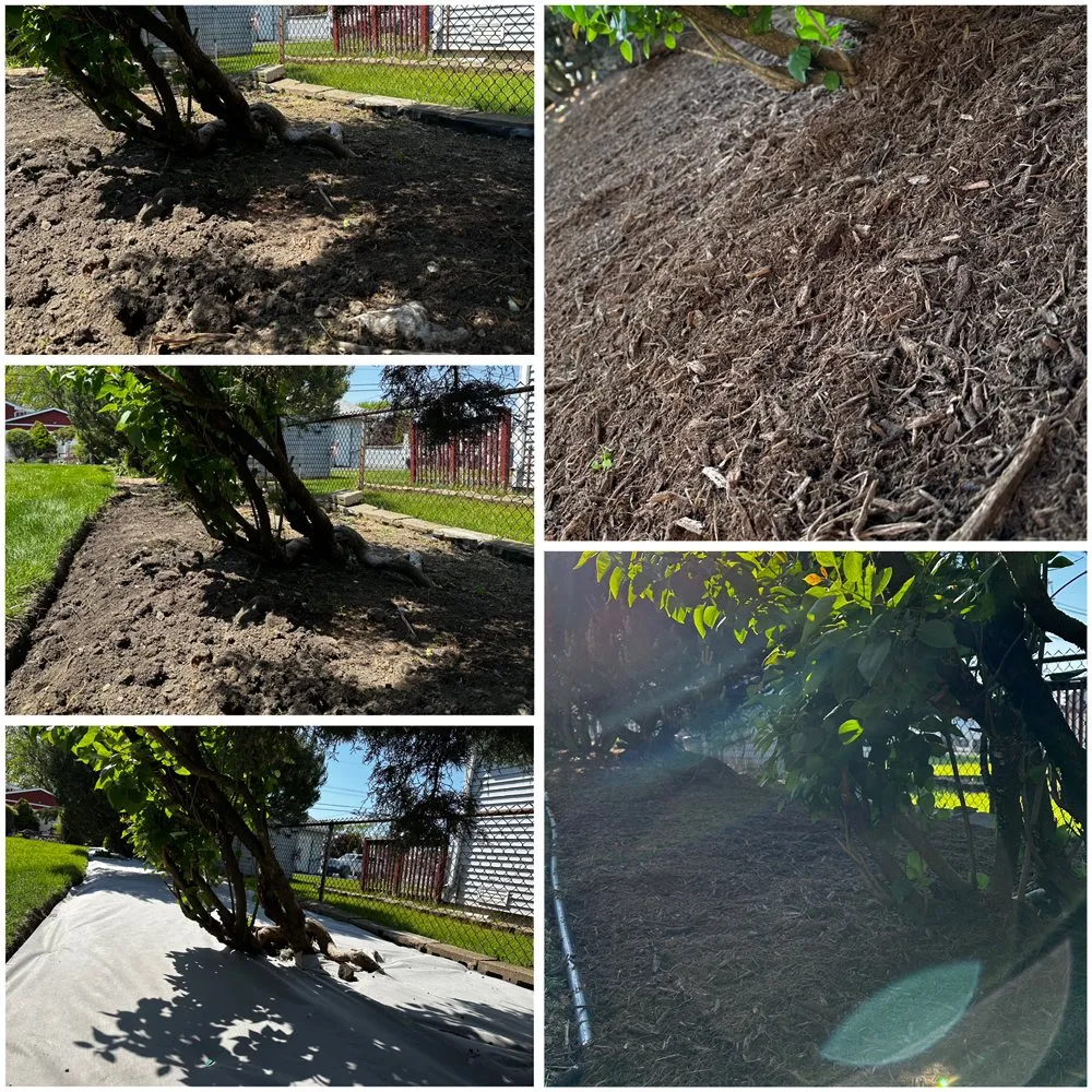 Local landscape design in Hickory Hills, IL - Robert O's Landscaping