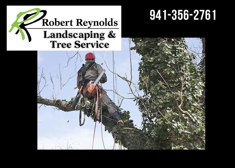 Top-rated yard maintenance for year-round maintenance in Sarasota, FL by Robert Reynolds Landscape