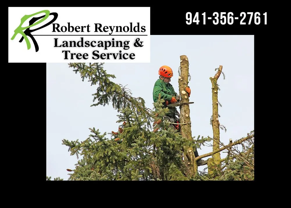 Local garden landscaping for beautiful yards in Sarasota, FL by Robert Reynolds Landscape