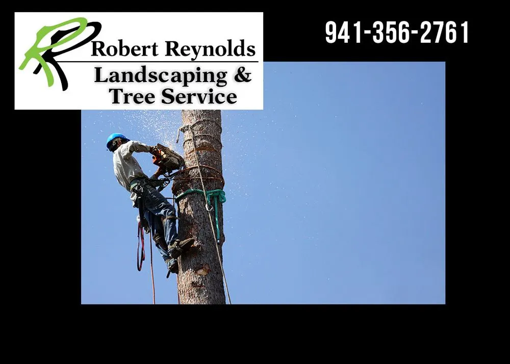 Custom lawn care service experts serving Sarasota, FL - Robert Reynolds Landscape