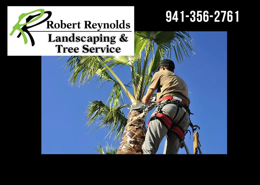 Affordable residential landscaping experts serving Sarasota, FL - Robert Reynolds Landscape