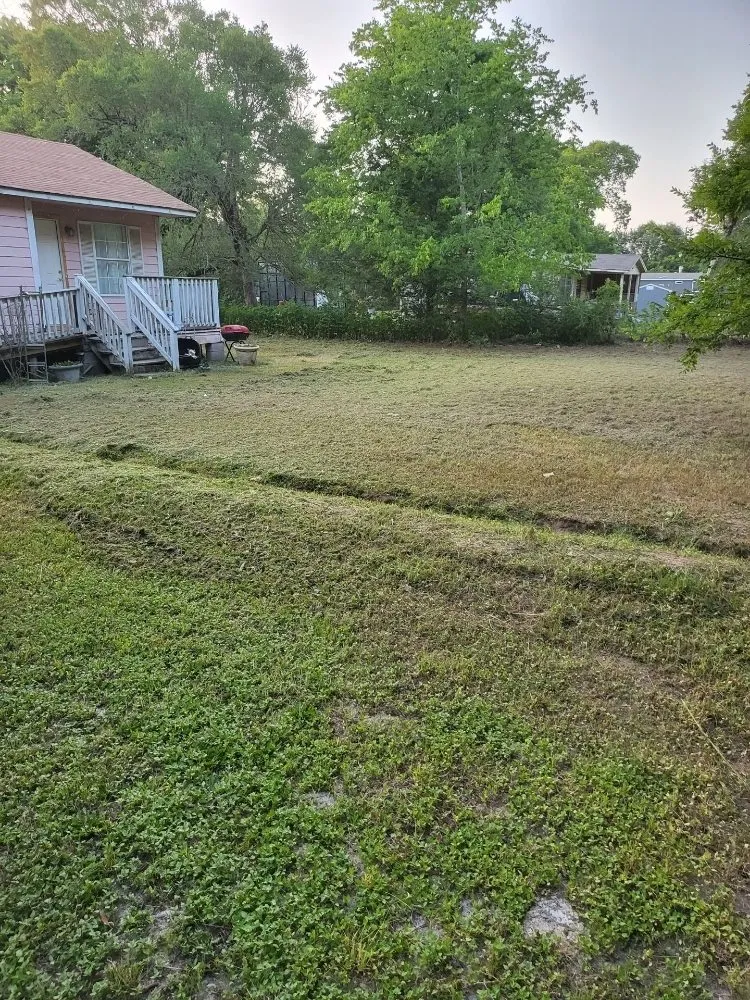 Professional yard maintenance for beautiful yards in Hockley, TX by Robert Small Engine Repair